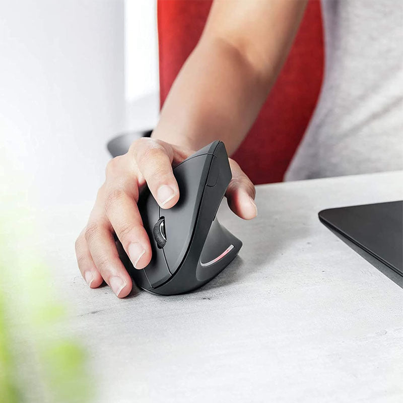 MOUSE VERTICAL